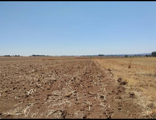 20.20HA VACANT LAND FOR SALE IN CHRISSIEFONTEIN